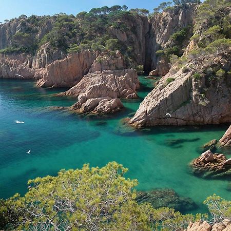 Nuevo Luminoso Apartamento Catalina A 80 Metros De La Playa Para 4 Personas Sant Feliu de Guíxols Ngoại thất bức ảnh